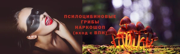 ГАЛЛЮЦИНОГЕННЫЕ ГРИБЫ Абинск