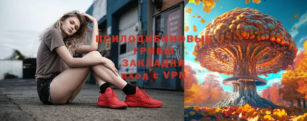тгк Абаза