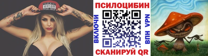 блэк спрут зеркало  Чебаркуль  Псилоцибиновые грибы мицелий  где можно купить  