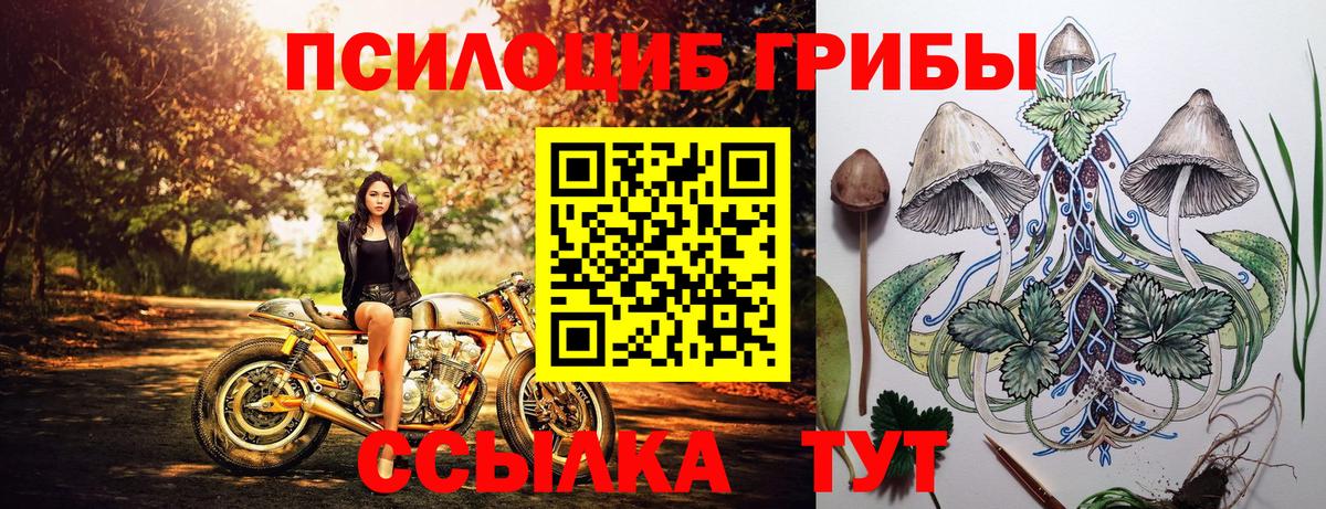 Галлюциногенные грибы мухоморы  продажа наркотиков  Галлюциногенные грибы ЛСД  Чебаркуль  Вход с VPN 