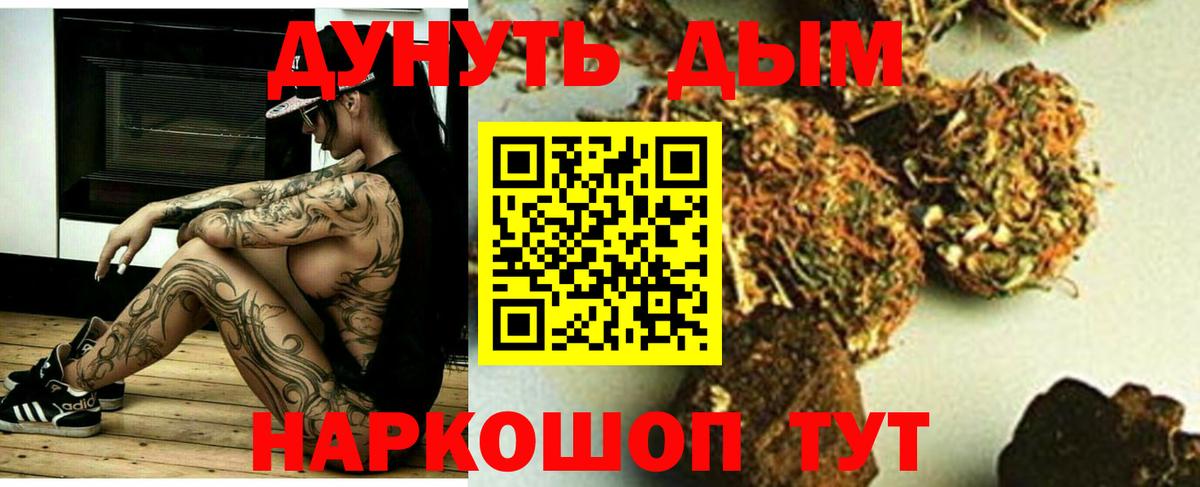 Чебаркуль  Каннабис OG Kush  Марихуана сатива  Канабис план  Вход с VPN 